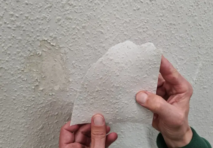 Hände halten ein Stück abgelöste Raufasertapete hoch, um einen beschädigten Bereich an der Wand zu inspizieren.