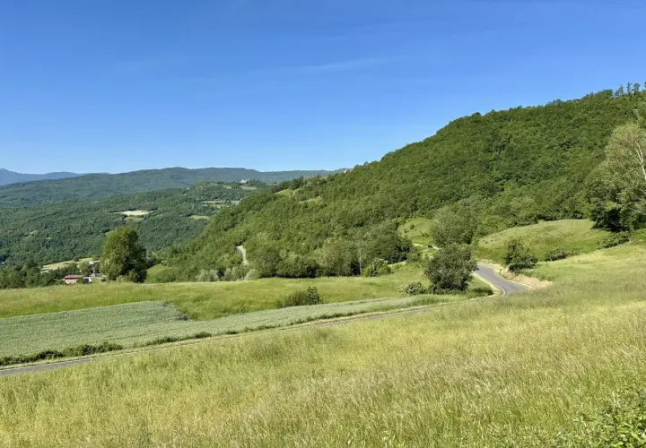 Un paesaggio verdeggiante con colline boscose e campi coltivati. Una strada serpeggia verso il passo della Cappelletta, Piacenza, sotto un cielo azzurro.