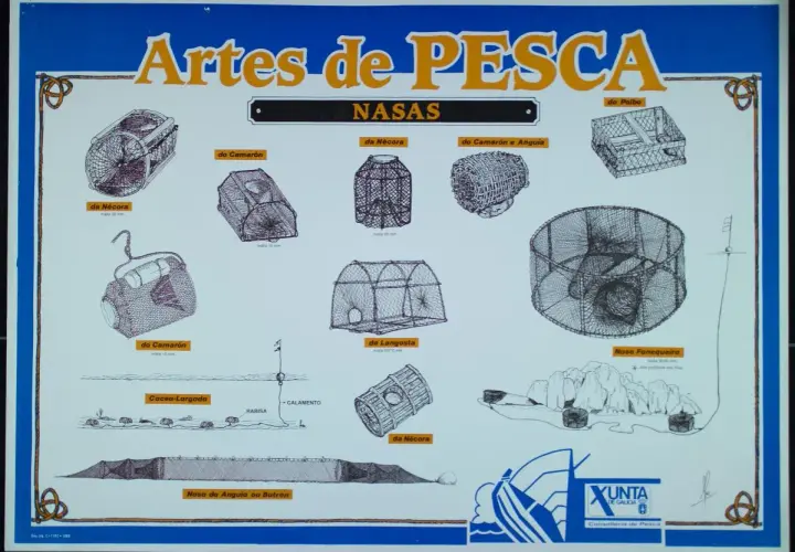 Ilustraciones de diversos tipos de nasas de pesca, como las de nécora, camarón, pulpo, langosta y anguila, mostrando sus diseños y mallas.