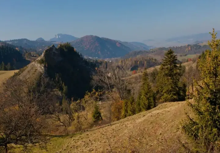 Jesienny krajobraz Pienin Wysokiej z łagodnymi wzgórzami, skalistym zboczem i drzewami w barwach jesieni.