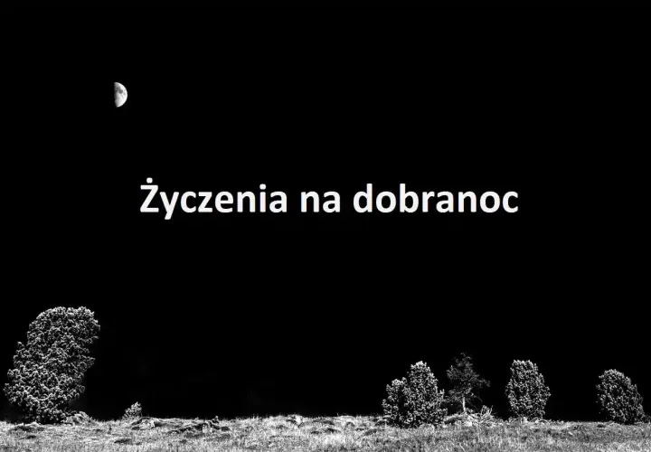 Księżyc nad nocnym krajobrazem. Tekst: "Życzenia na dobranoc". Czas na spokojny sen.