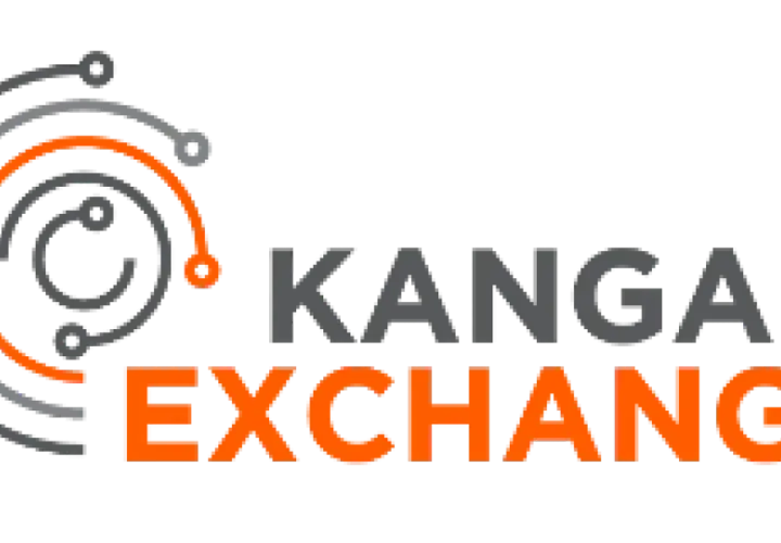 Kanga Exchange: Opinie, Zalety i Wady Polskiej Giełdy Kryptowalut