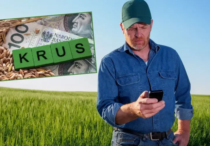 Rolnik w polu sprawdza telefon. Obok zboże, banknot 100 zł i kostki z napisem "KRUS". Ubezpieczony rolnik dba o swoje interesy.