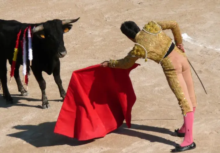 Czy corrida jest zakazana w Hiszpanii? Sprawdź kontrowersje prawne
