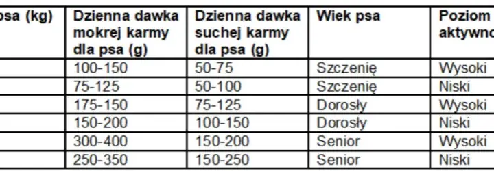 Ile mokrej karmy dla psa? Klucz do zdrowia i idealnej wagi!