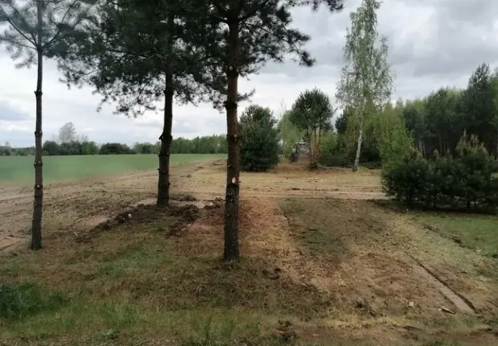 Jak wykarczować działkę: proste kroki do efektywnego oczyszczenia terenu