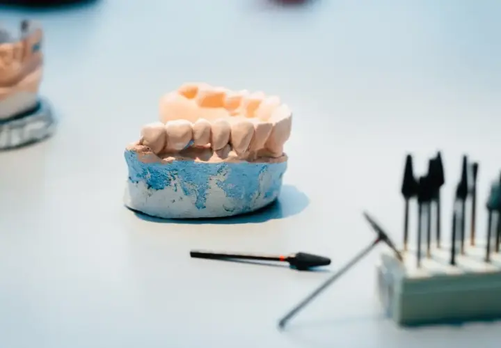 Model szczęki, na którym powstaje proteza elastyczna, obok narzędzi dentystycznych.
