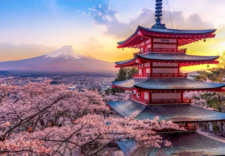 Japonia wycieczka Itaka: Czerwona pagoda i kwitnące wiśnie na tle góry Fudżi o zachodzie słońca.