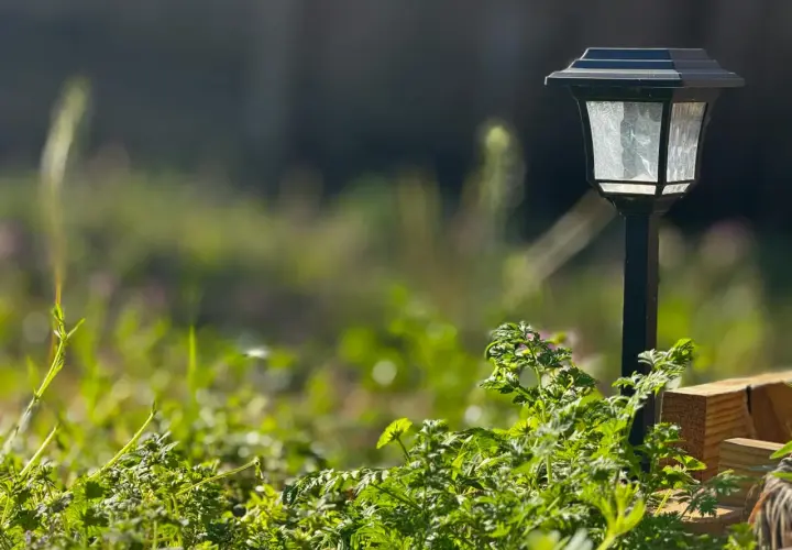 Lampa solarna w ogrodzie, która w dzień zbiera energię słoneczną, a nocą oświetla ścieżkę.
