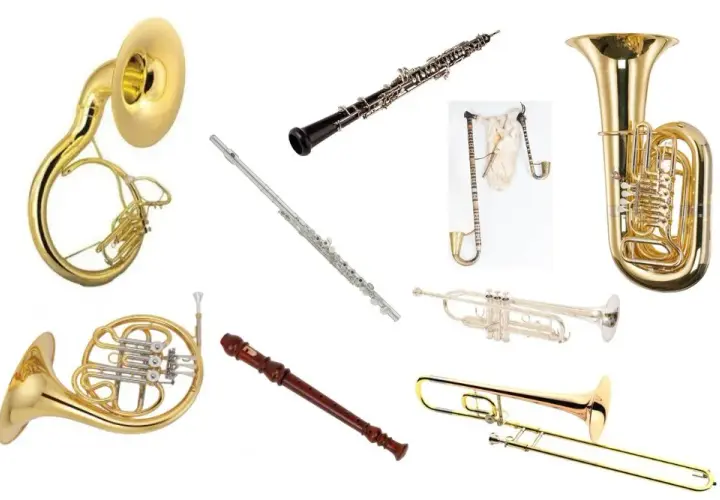Czy organy są instrumentem dętym? Odkryj ich fascynującą klasyfikację