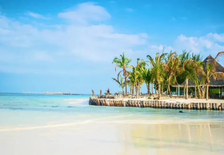 Piękna plaża z palmami i drewnianym molo. Zastanawiasz się, ile się leci na Zanzibar? To raj na ziemi!