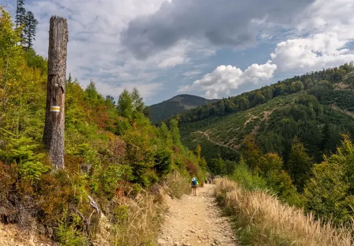 Góry wokół Żywca: Beskid Żywiecki, Mały, Śląski szlaki i atrakcje