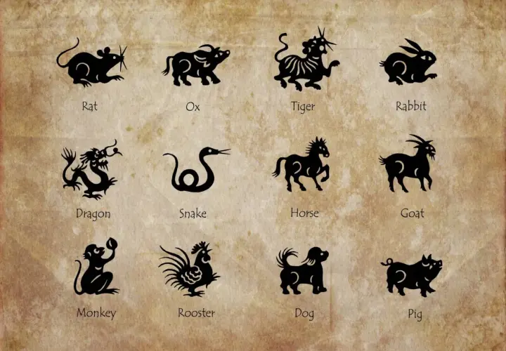 Koń: charakterystyka i cechy chińskiego znaku zodiaku