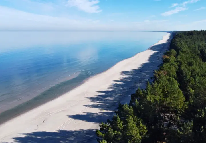 Szeroka, piaszczysta plaża Mierzei Wiślanej z lasem sosnowym po prawej stronie i spokojnym morzem.