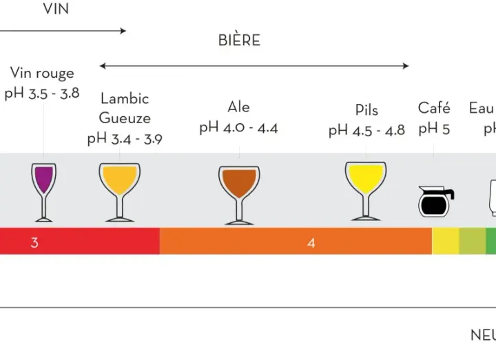 Échelle de pH montrant des boissons acides comme le vinaigre et le vin, puis des bières, du café, et enfin l'eau pure (hco3 eau) à pH neutre 7.