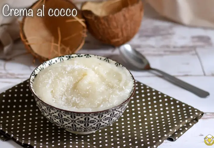 Una ciotola di deliziosa crema al cocco, guarnita con cocco grattugiato, accanto a gusci di cocco e un cucchiaio.