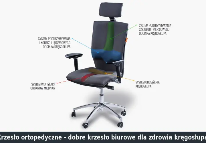 Ergonomiczne krzesło dla stylistki: wybierz idealne dla kręgosłupa