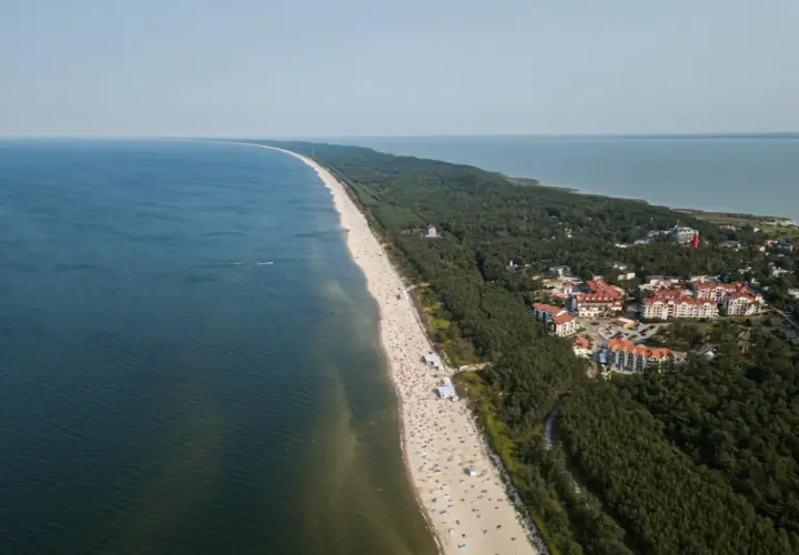 Widok z lotu ptaka na plażę w Krynicy Morskiej, przypominającą wielbłądzi garb. Widać tłumy plażowiczów, las i zabudowania.