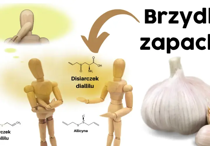Czy czosnek jest zdrowy? Odkryj jego niesamowite właściwości!