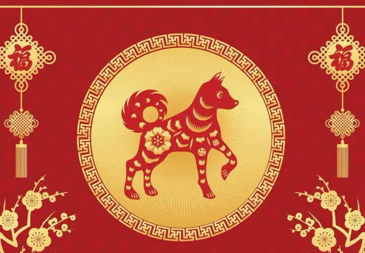 Pies jako chiński znak zodiaku: poznaj jego charakterystykę