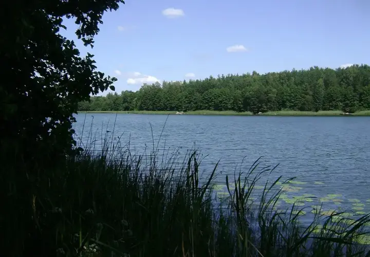 Warchały atrakcje: najlepsze miejsca na wędkowanie i relaks w naturze