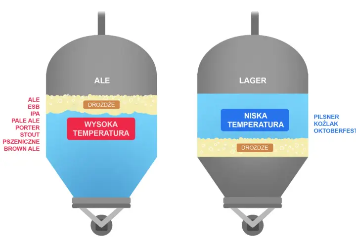 Dwa zbiorniki fermentacyjne: jeden dla piw typu Ale (wysoka temperatura, drożdże na górze), drugi dla Lager (niska temperatura, drożdże na dole).