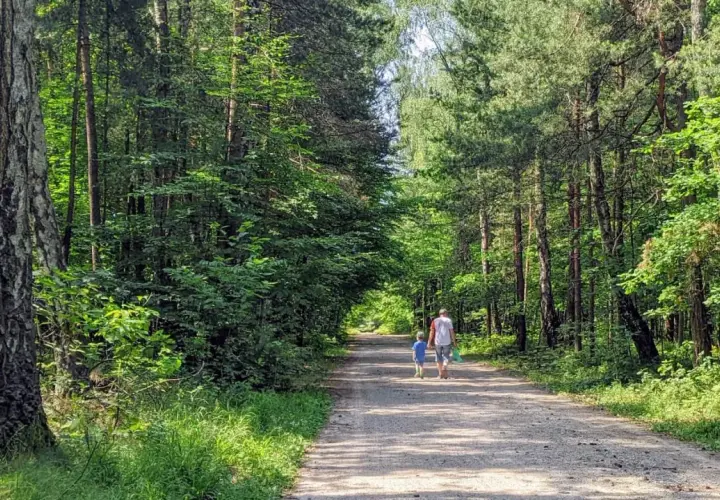 Spacer po puszczy dulowskiej. Ojciec z synem idą leśną drogą, otoczeni zielenią drzew.