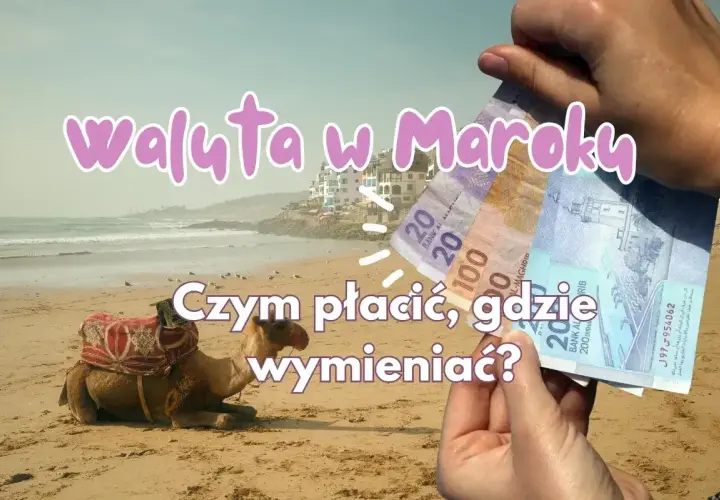Dłoń trzyma marokańskie banknoty na tle plaży z wielbłądem i budynkami.