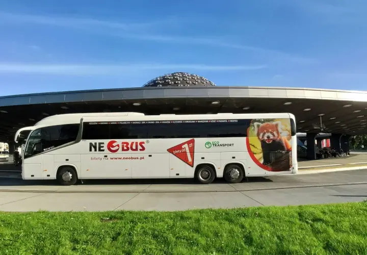 Biały autokar Neobus z wizerunkiem pandki rudej na tle nieba, gotowy do podróży z Krosna do Łodzi.