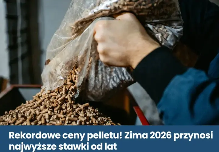 Ile kosztuje tona pelletu 2026? Sprawdź ceny i porady
