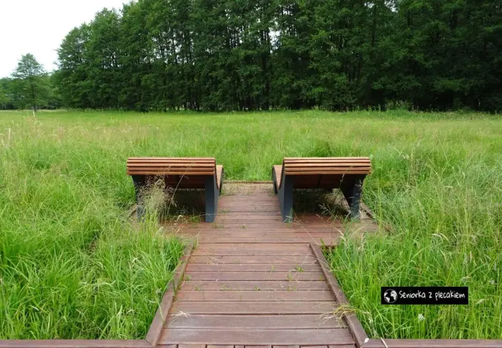 Dwa drewniane ławki w trawie, idealne na weekendowe atrakcje w Nałęczowie.