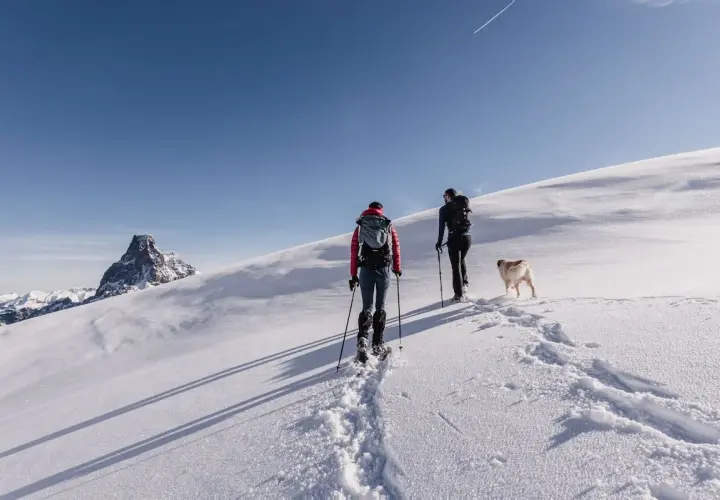Dos personas y un perro disfrutan de una ruta con raquetas de nieve bajo un cielo azul, con una montaña nevada al fondo.