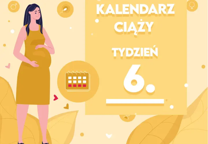 Kiedy zaczyna się 6 miesiąc ciąży? Ilustracja pokazuje ciężarną kobietę i kalendarz ciąży z zaznaczonym 6. tygodniem.