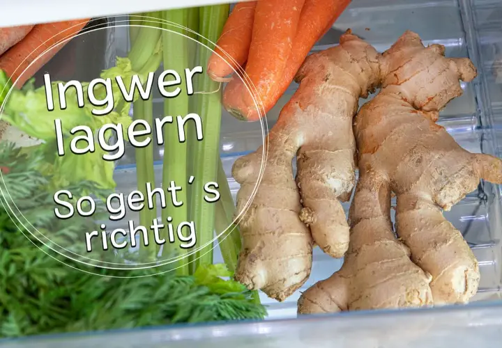 Frischer Ingwer, Karotten und Sellerie im Kühlschrank. So lagern Sie Ingwer richtig für maximale Frische.