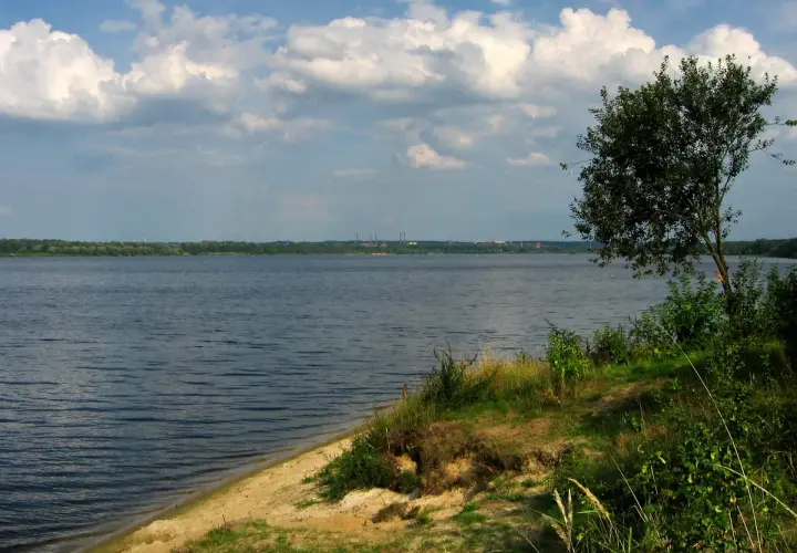 Spokojny, szeroki dzierżno duże z piaszczystym brzegiem i drzewem na pierwszym planie. Na horyzoncie las i kominy.