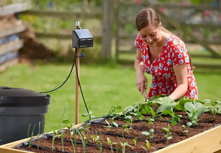 Kvinna i trädgården med ett system för att samla regnvatten och bevattna sina plantor.