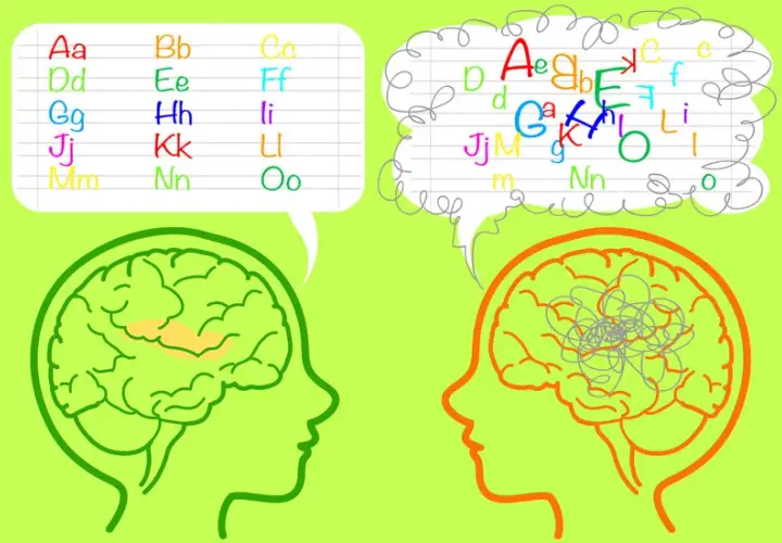 Czy dysleksja jest dziedziczna? Fakty o genetycznych przyczynach i wpływie środowiska