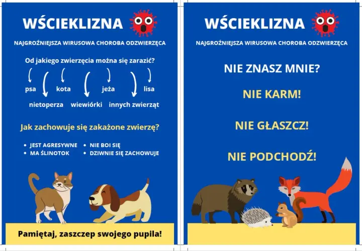 Objawy wścieklizny u kota: agresja, ślinotok, dziwne zachowanie. Nie zbliżaj się do chorych zwierząt. Zaszczep swojego pupila!