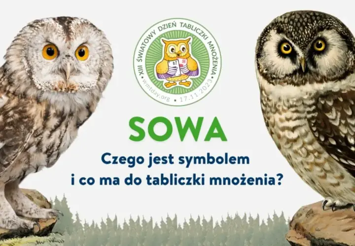 Czy sowa przynosi szczęście? Odkryj jej symbolikę i znaczenie