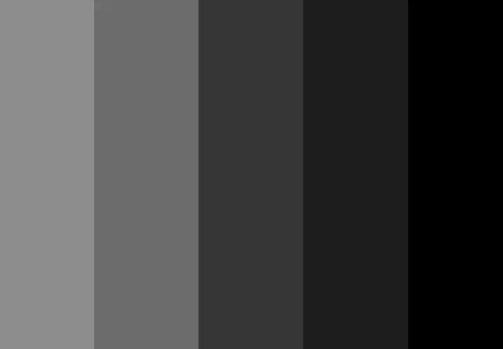 Cinque sfumature di grigio, dal chiaro all'oscuro, fino al nero più profondo.