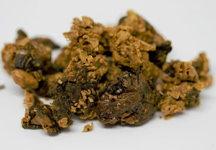 Cumuli di propoli grezza, una sostanza resinosa raccolta dalle api, con sfumature marroni e dorate. Cos'è la propoli delle api? È un dono della natura.