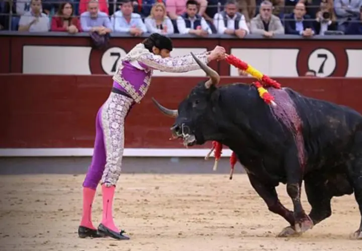 David Adalid, banderillero, se enfrenta a un toro bravo en la arena.