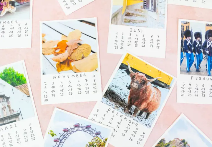 Ein **fotokalender selber basteln** mit Bildern von Novemberlaub, einem schottischen Hochlandrind, Wachsoldaten und mehr.