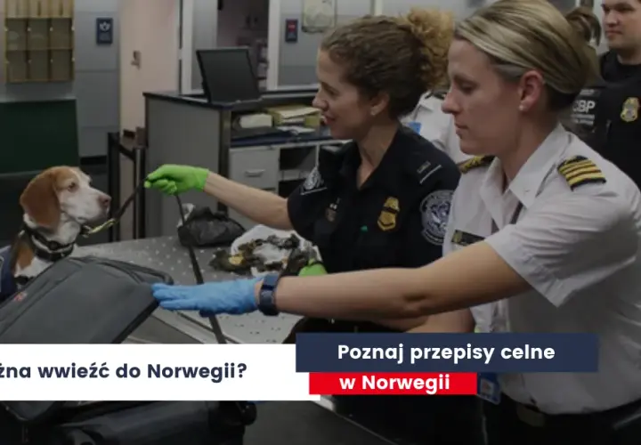 Co można przewieźć w bagażu podręcznym do Norwegii? Ważne zasady