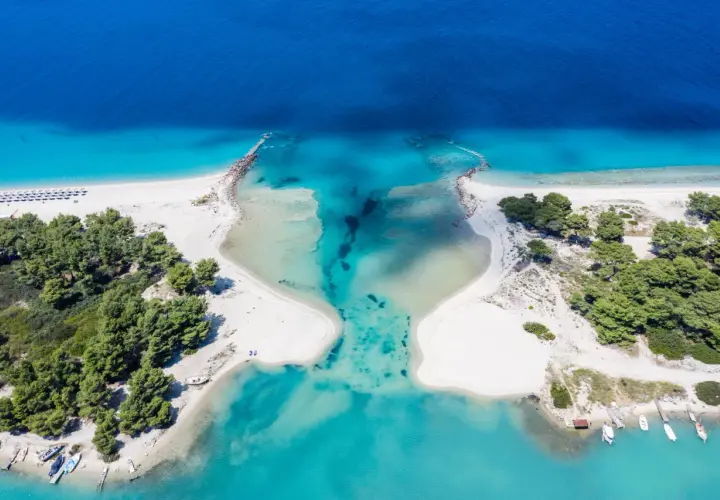 Rajska plaża na Sithonii, z turkusową wodą, białym piaskiem i sosnowym lasem.