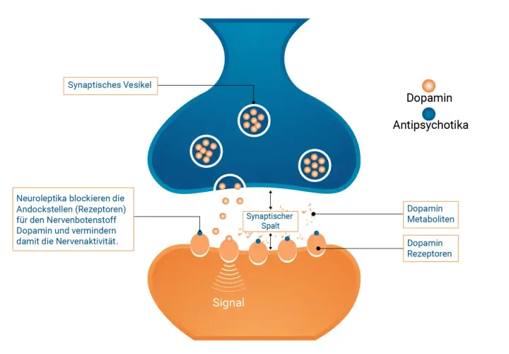 Schema einer Synapse: Dopamin-Vesikel, Dopamin-Rezeptoren und Antipsychotika.