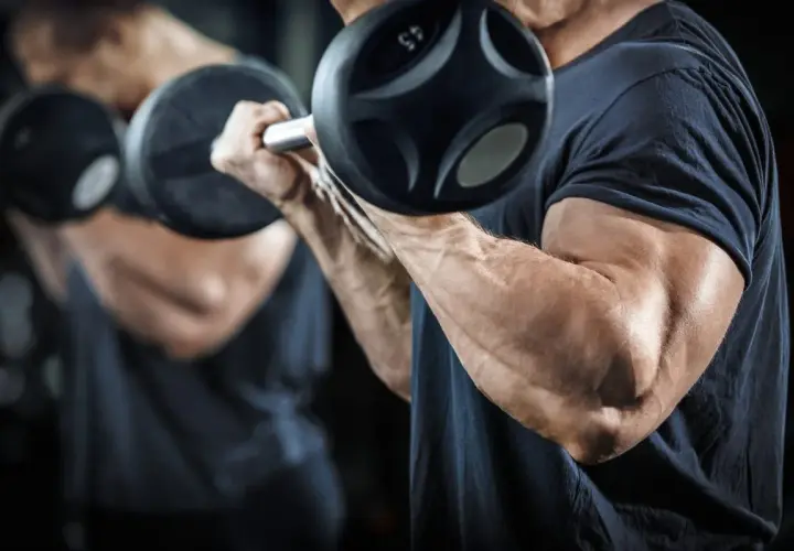 Mężczyzna ćwiczy bicepsy z hantlami, realizując swój trening split.
