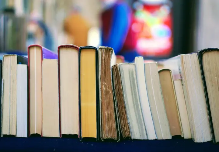 Rząd książek, niektóre z kolorowymi okładkami. Szukasz perełek w literaturze young adult, które nie są oczywiste?