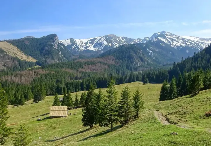 Zielone hale i lasy w Tatrach, z widocznymi szczytami pokrytymi śniegiem. Na hali stoi drewniana bacówka, przypominająca dawne kuźnice.