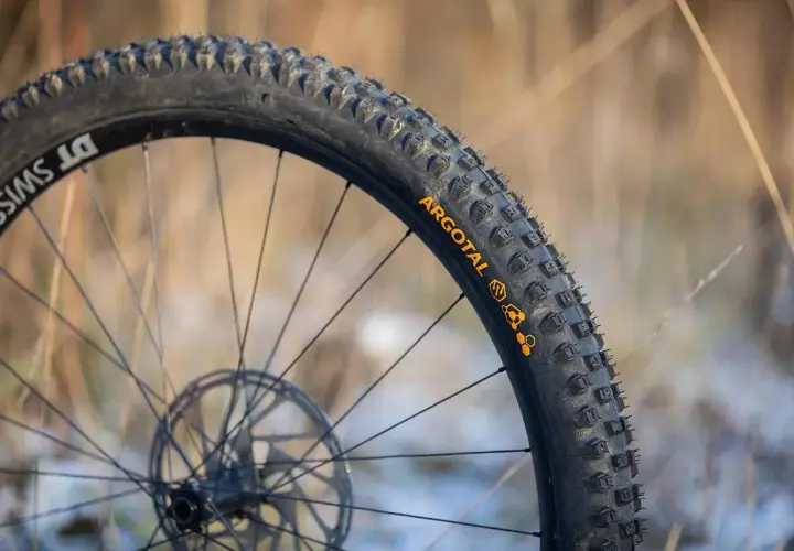 Close-up of a DT Swiss wheel with Argotal tires, showcasing their aggressive tread pattern, perfect for the lightest MTB tires.